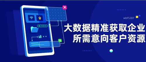 大數(shù)據(jù)精準(zhǔn)營(yíng)銷 破解飛蜥等企業(yè)起步獲客難題的利器